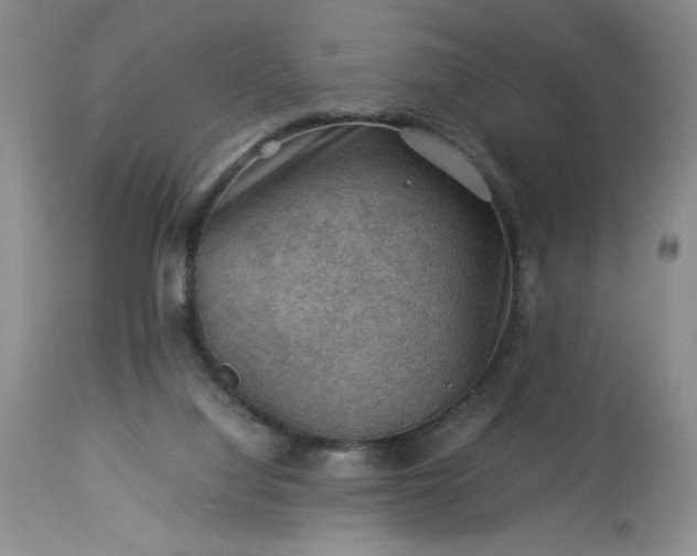 X0000113590068200910021727