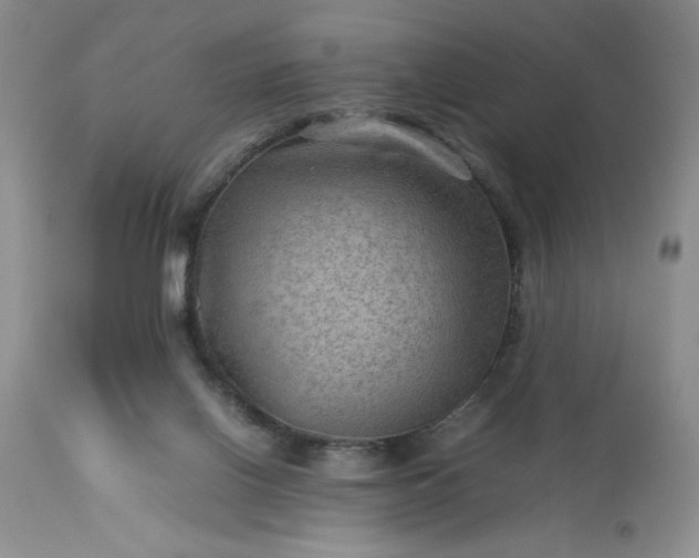 X0000113590070200910021727