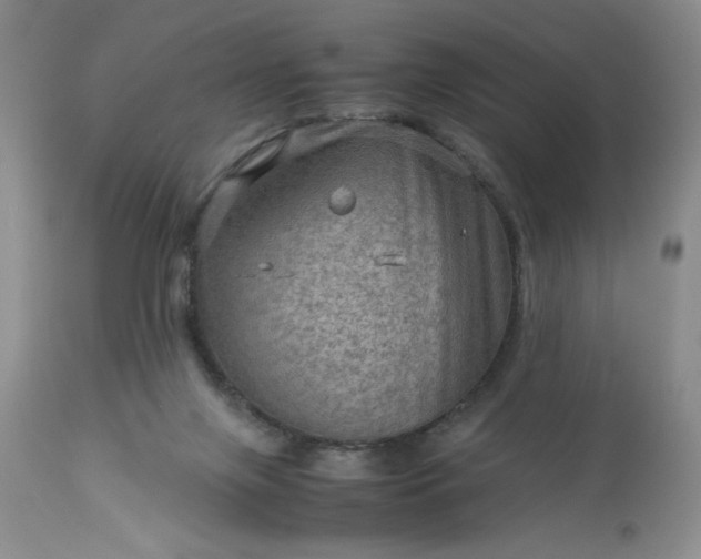 X0000113590071200910021727