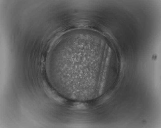 X0000113590073200910021727