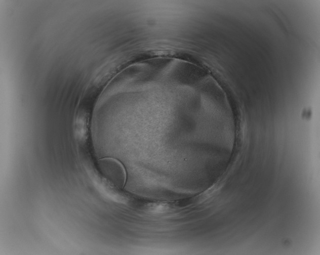 X0000113590074200910021727