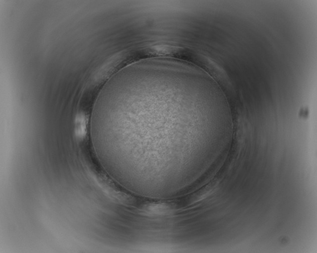 X0000113590075200910021727