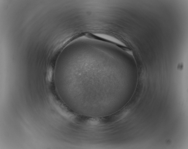 X0000113590076200910021727