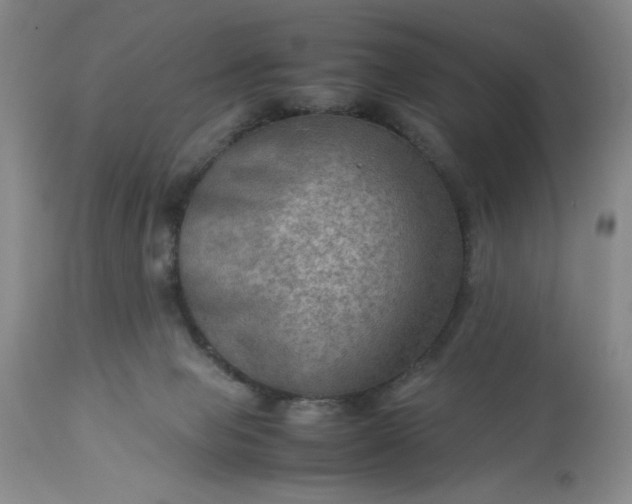 X0000113590077200910021727