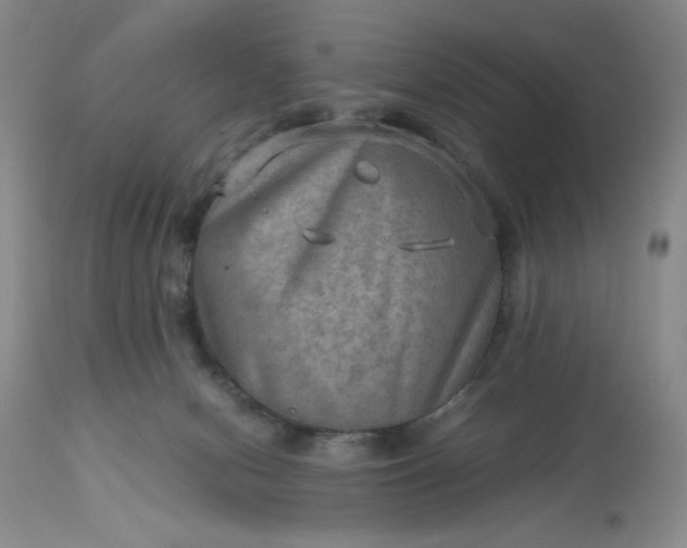 X0000113590078200910021727