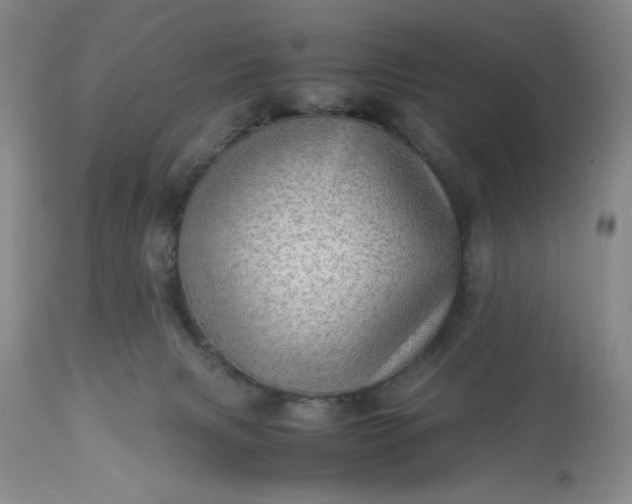 X0000113590079200910021727