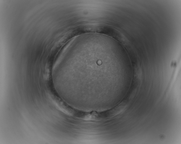 X0000113590080200910021727