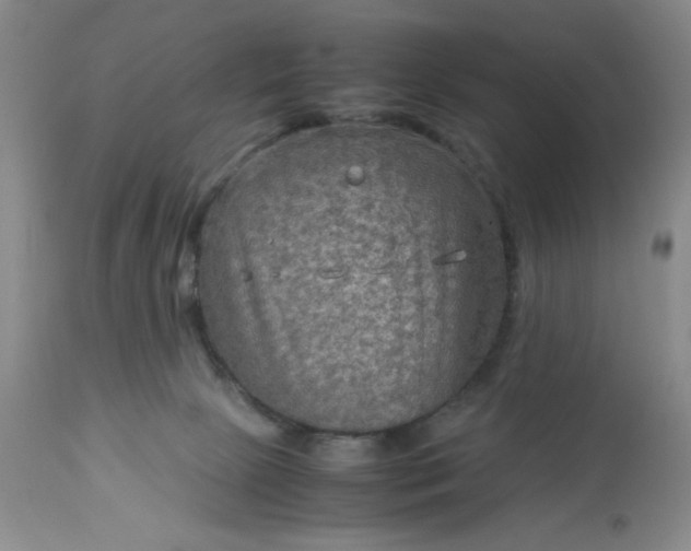 X0000113590081200910021727