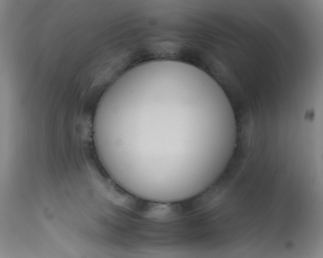 X0000113590083200910021727