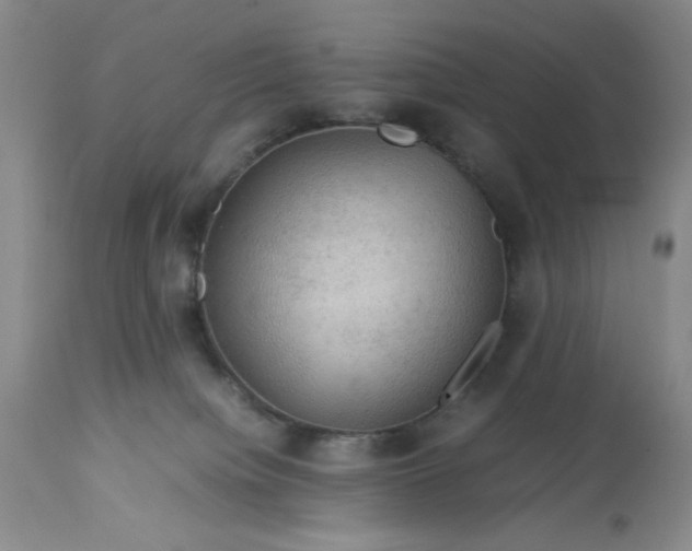 X0000113590084200910021727