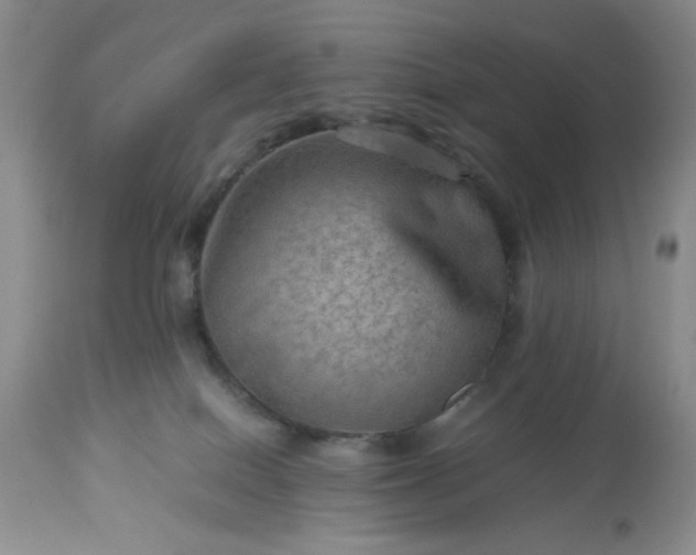 X0000113590086200910021727