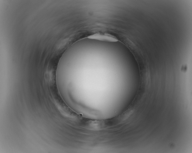 X0000113590088200910021727