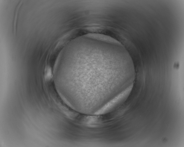 X0000113590089200910021727