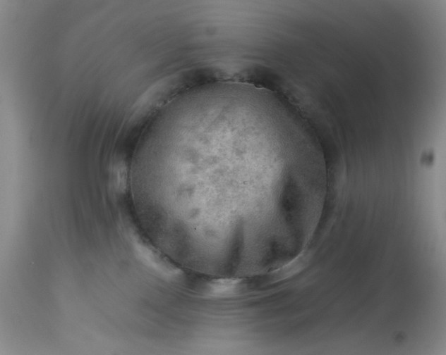 X0000113590090200910021727