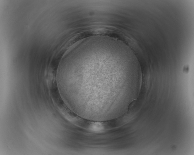 X0000113590091200910021727