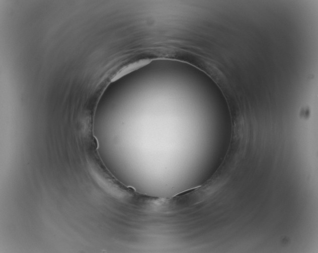 X0000113590092200910021727