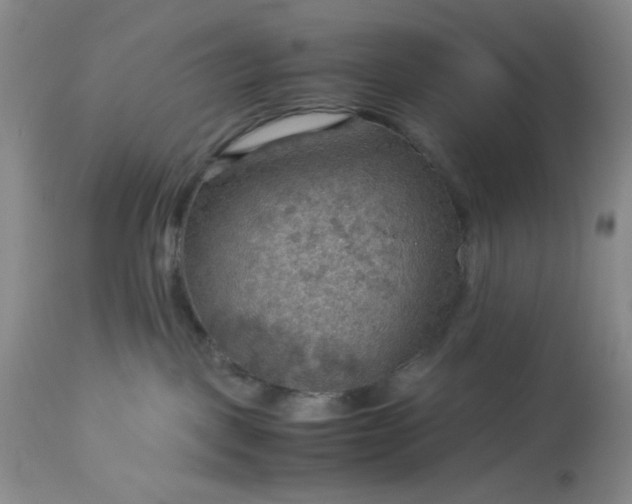 X0000113590093200910021727