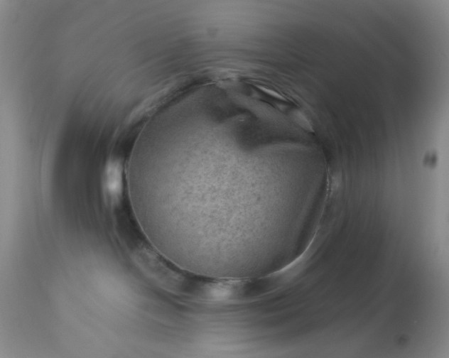 X0000113590094200910021727