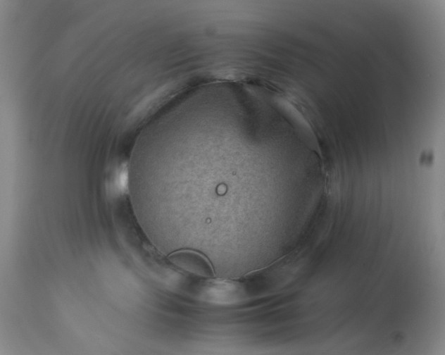 X0000113590095200910021727