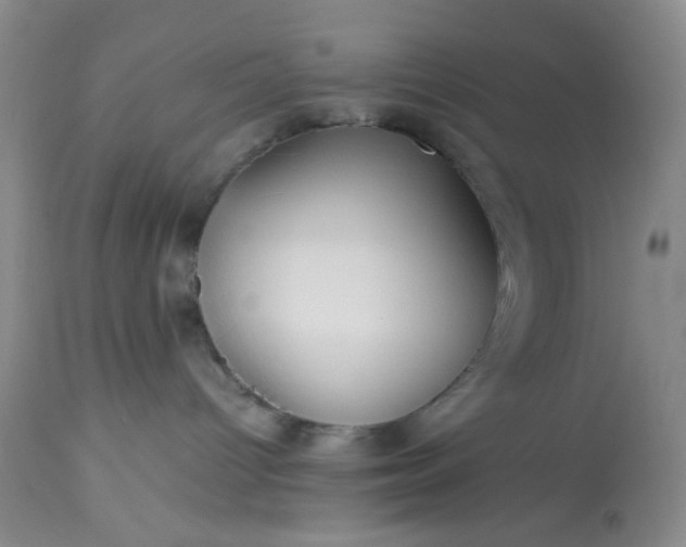 X0000113590096200910021727