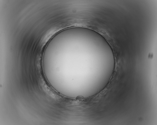 X0000113590098200910021727