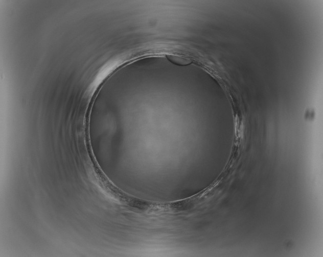 X0000113590099200910021727