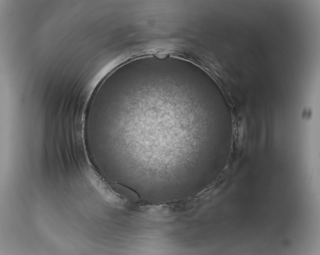 X0000113590100200910021727