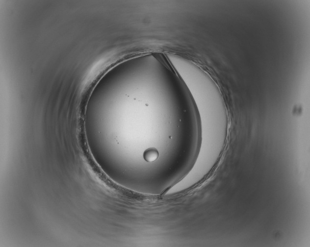 X0000113590101200910021727