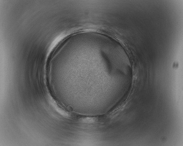 X0000113590102200910021727