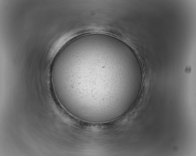 X0000113590103200910021727