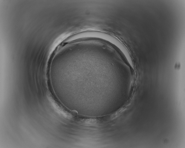 X0000113590104200910021727