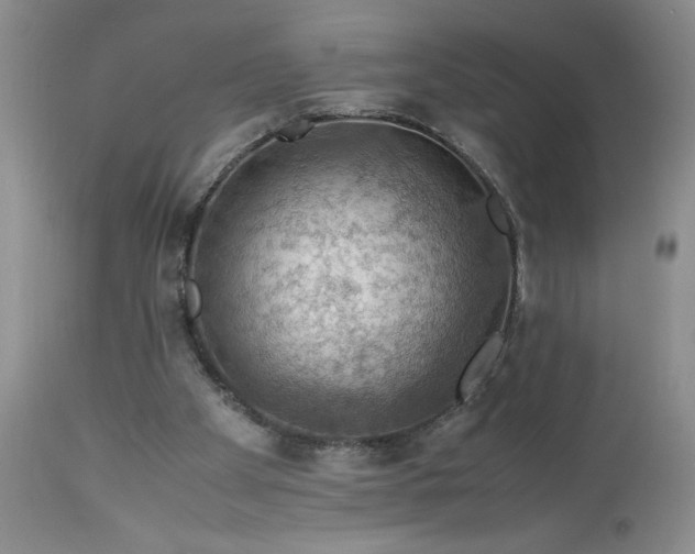 X0000113590105200910021727