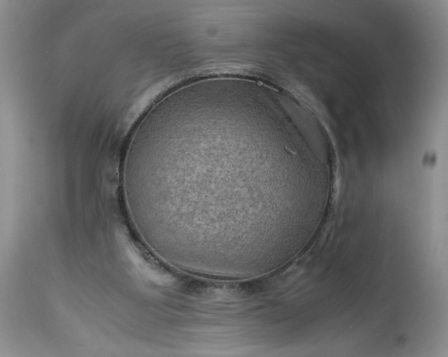 X0000113590107200910021726