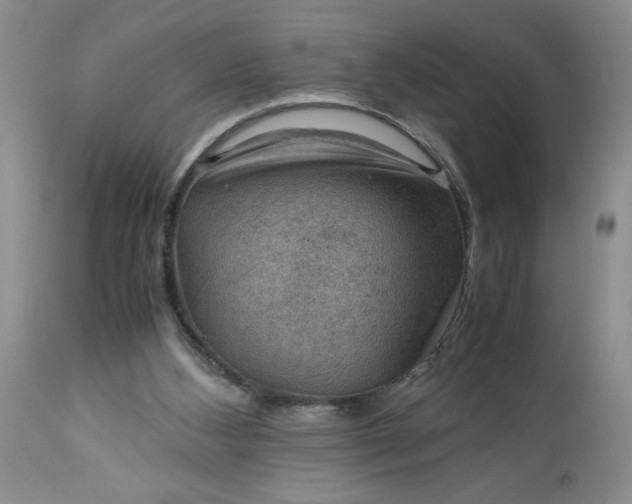 X0000113590108200910021726