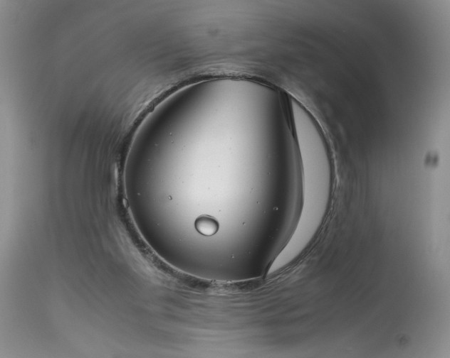 X0000113590109200910021726