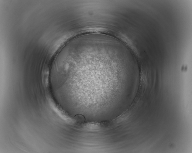 X0000113590110200910021726