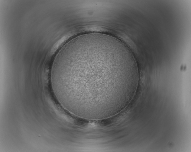 X0000113590111200910021726