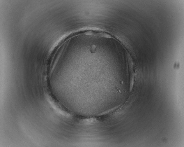 X0000113590112200910021726