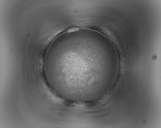 X0000113590113200910021726