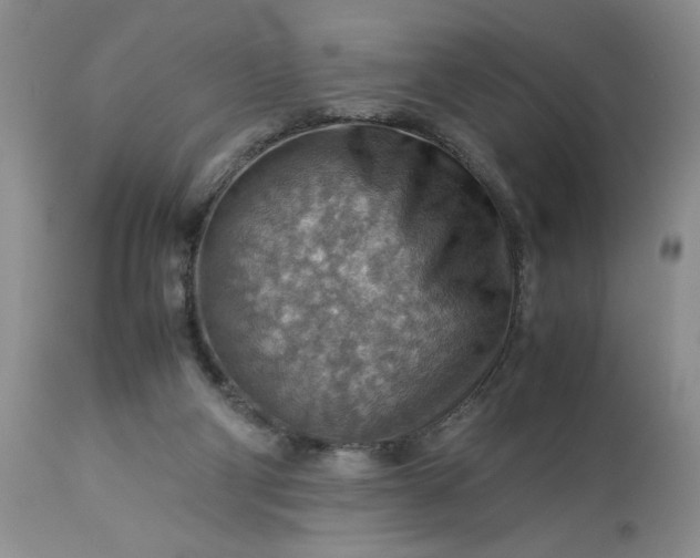 X0000113590114200910021726