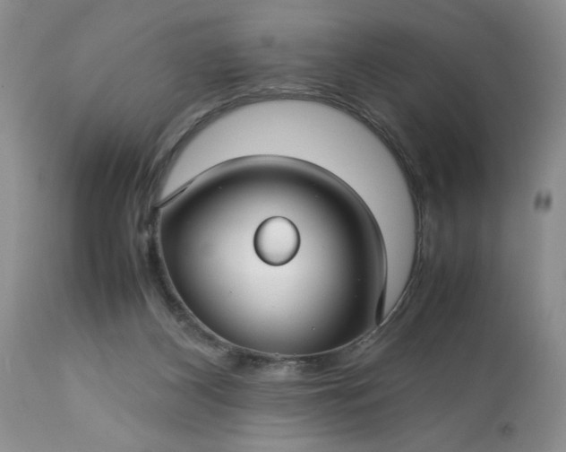 X0000113590116200910021726