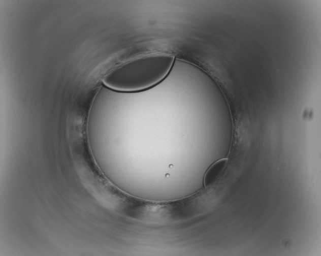 X0000113590117200910021726