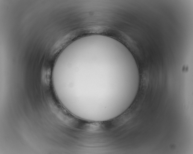 X0000113590118200910021726