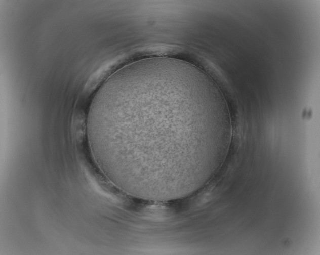 X0000113590119200910021726