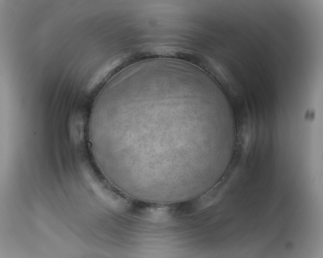 X0000113590120200910021726