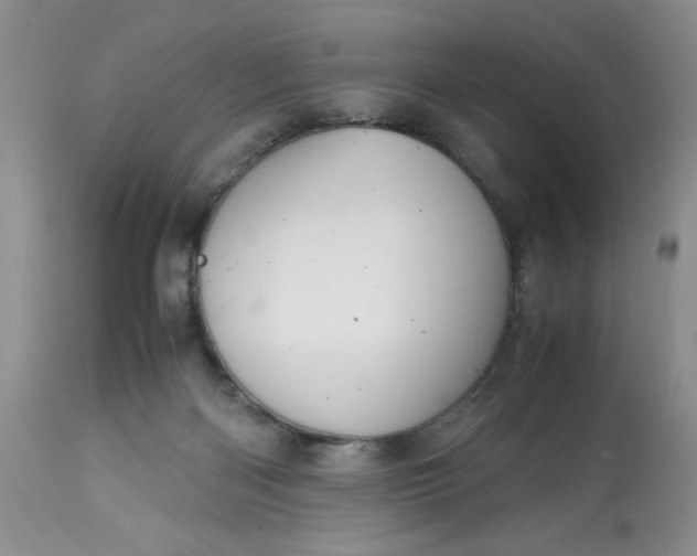 X0000113590122200910021726