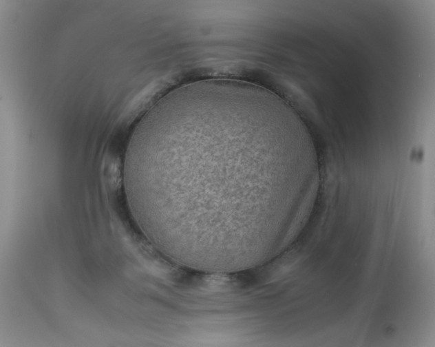 X0000113590123200910021726