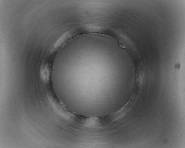 X0000113590124200910021726