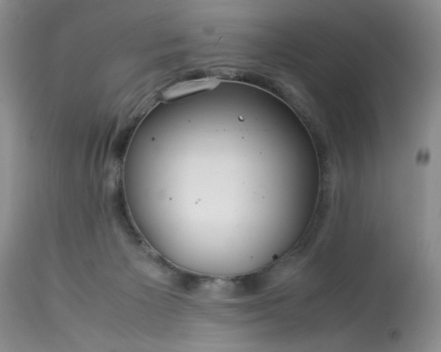 X0000113590125200910021726