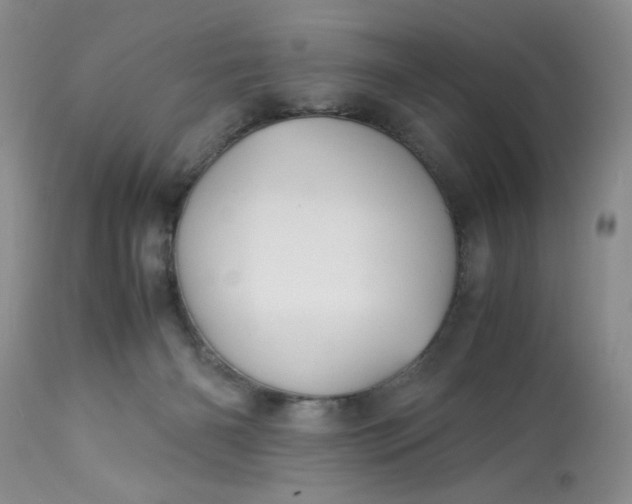 X0000113590126200910021726